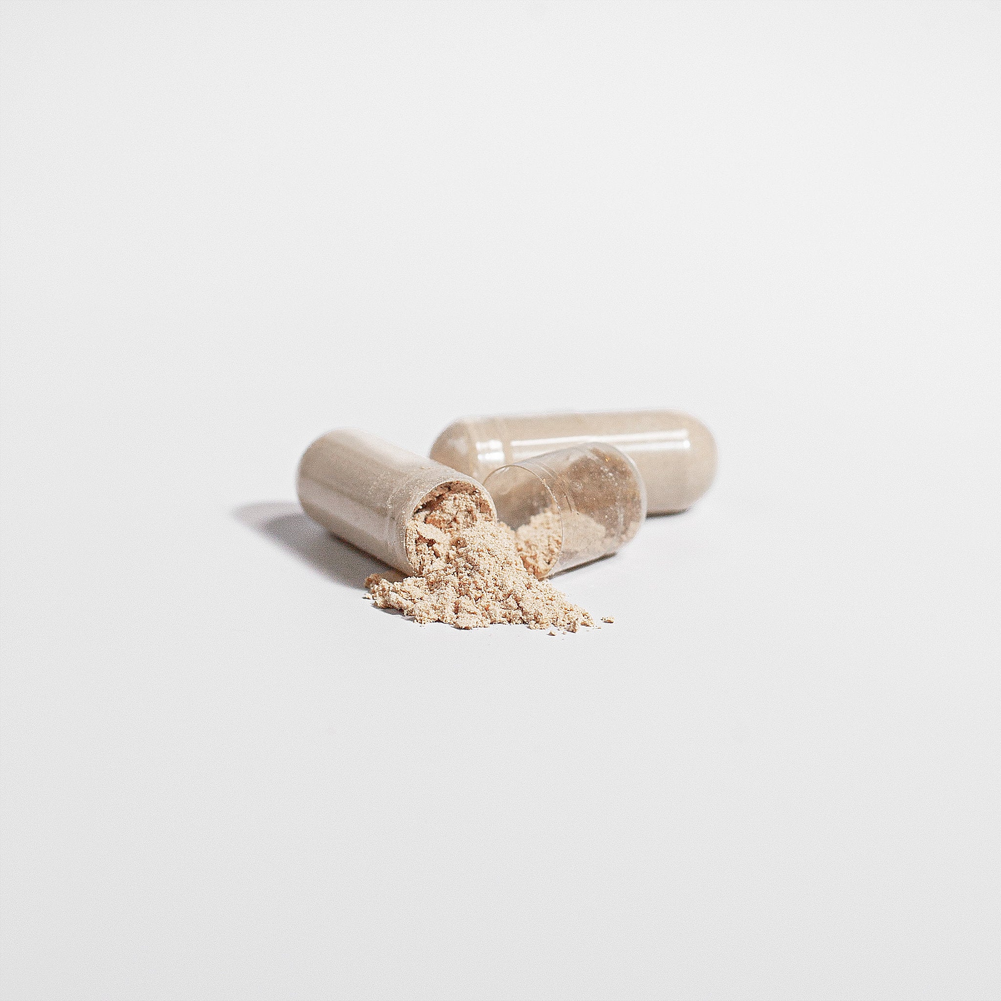 Extra Strength Lion’s Mane Mushroom Capsules: Cognitive Clarity & Mental Performance