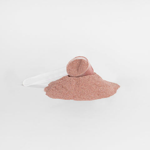 Beet Root, Shilajit, Green Tea & Turmeric Superfood Powder