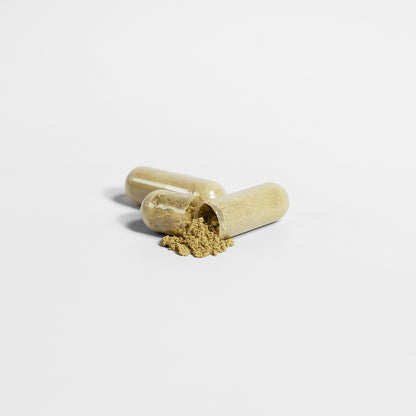 Ginkgo Biloba + Ginseng Nootropic