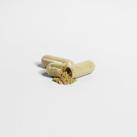 Ginkgo Biloba + Ginseng Nootropic