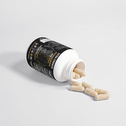 Organic Ashwagandha Capsules – Stress Support & Balanced Energy