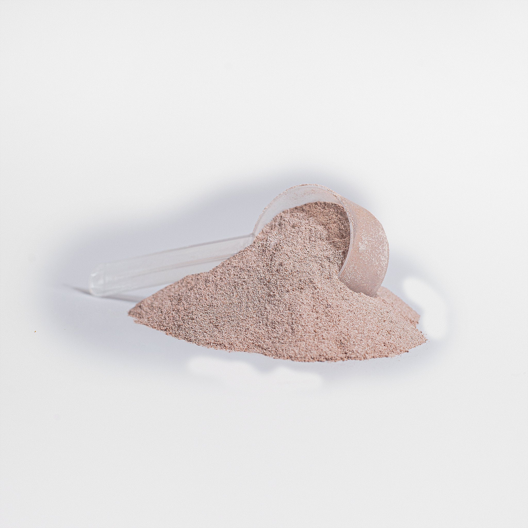 100% Plant Protein: Vanilla Bean