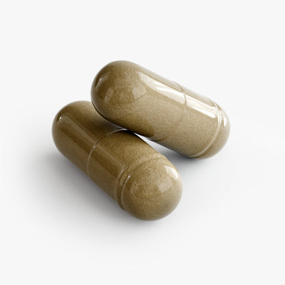 Ginkgo Biloba & Ginseng Nootropic: Ancient Wisdom Meets Modern Focus
