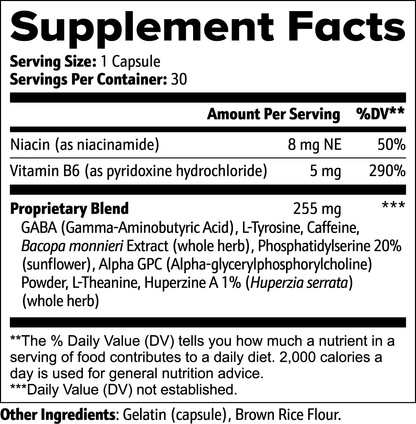 Alpha GPC & L-Theanine: Natural Cognitive Support